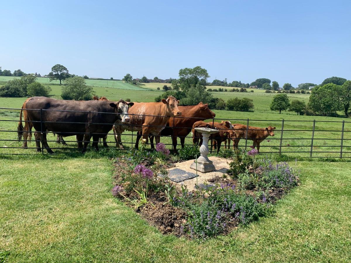 Farm stay Weatherhead Farm Buckingham